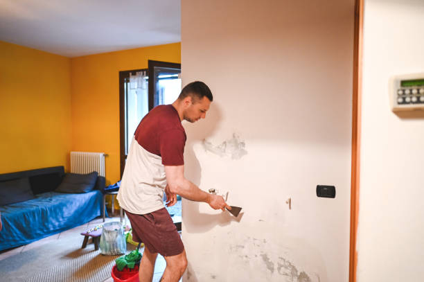 Best Mold Removal Company Near Me  in Norfolk, VA