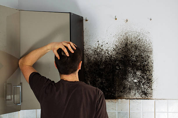 Best Crawl Space Mold Removal  in Norfolk, VA